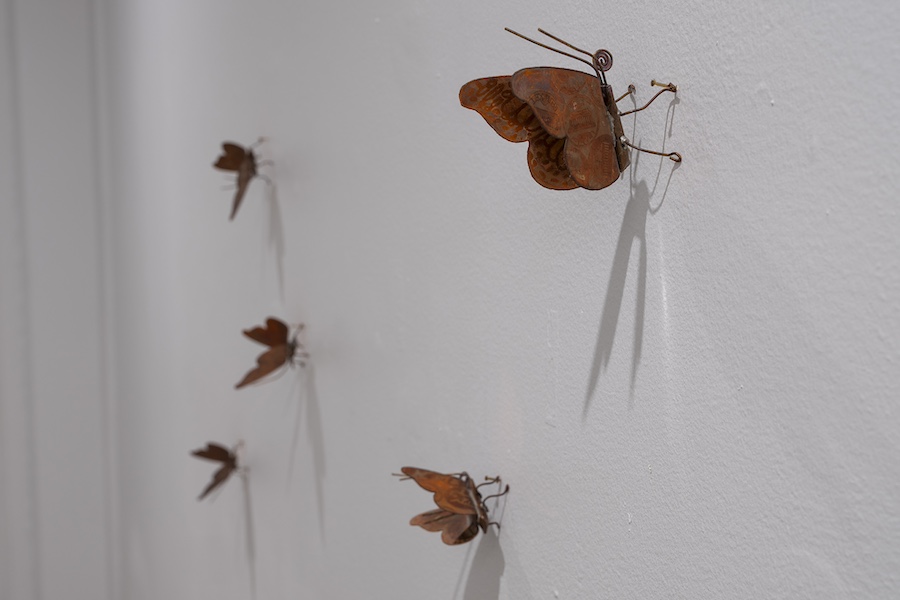 6 of 9, Image:  Border Craft, Installation Views, Mandeville Art Gallery, March 1-June 15, 2025 (Photos by Pablo Mason)