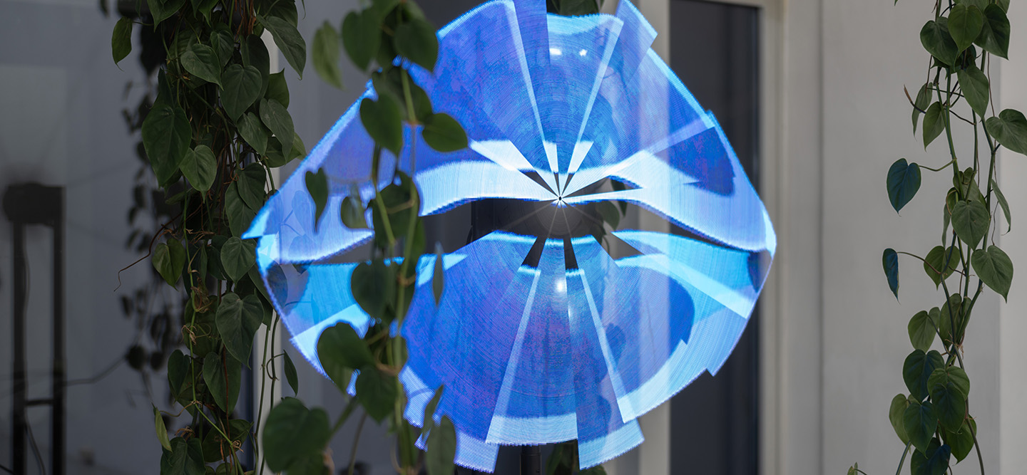 The Oracle